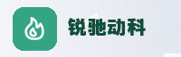 核心战略伙伴